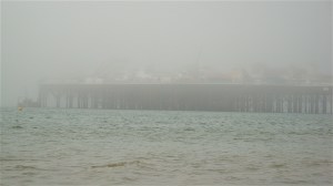 Pessimistic - counting down the days to winter