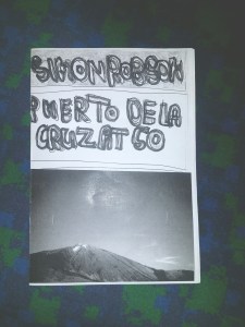 Simon Robson pamphlet review.jpeg