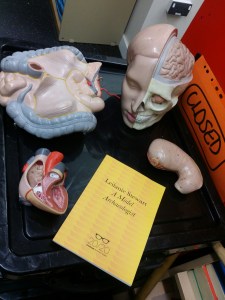 A Model Archaeologist - dissecting gender stereotypes