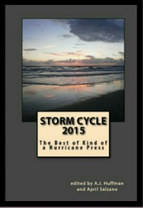 Storm Cycle 2015 Anthology.jpg