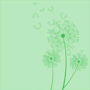 dandelion-flowers-green-background