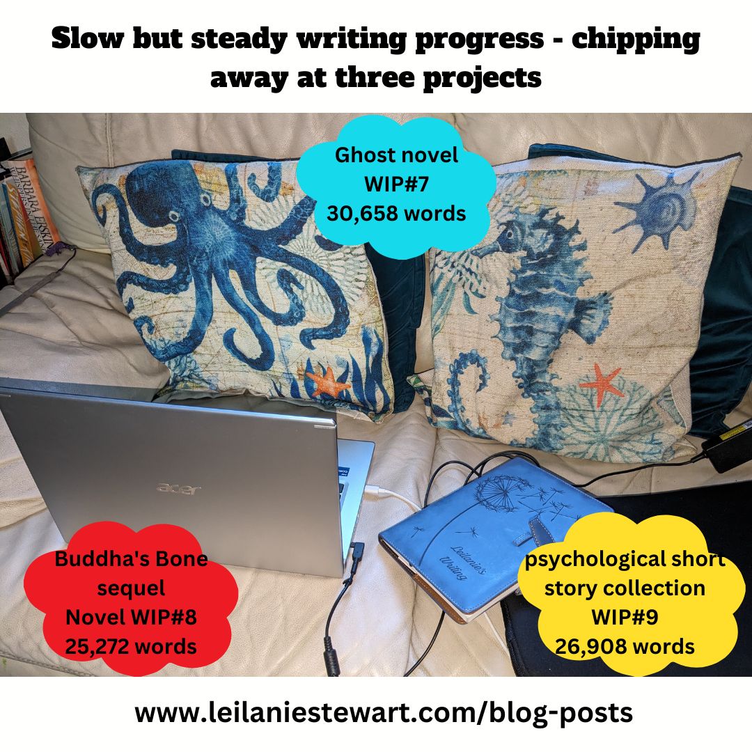 Story Writing Progress Slow but steady writing progress – chipping away at three projects ...